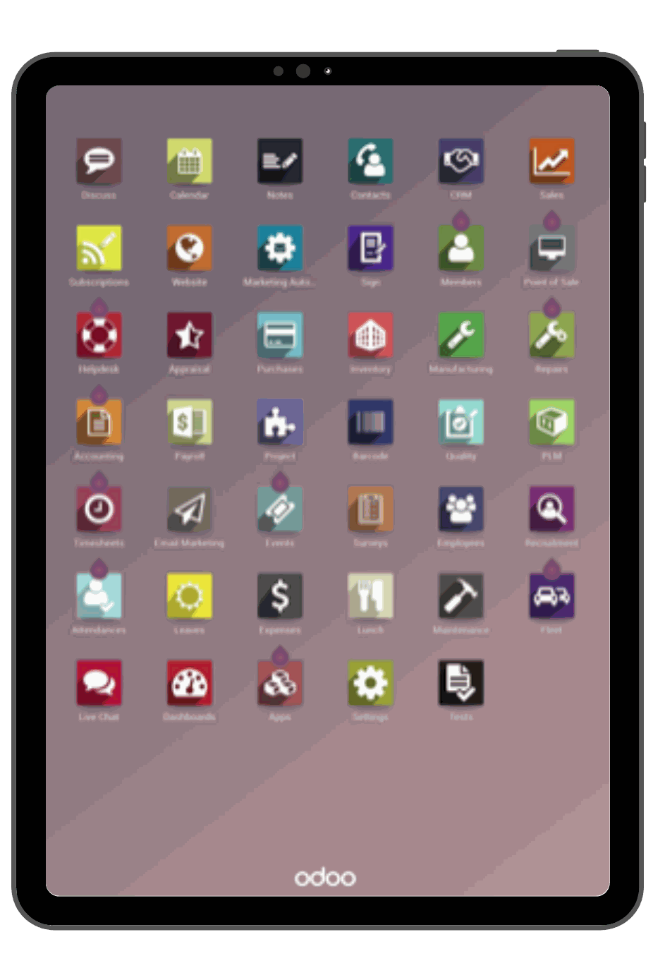 Odoo • Testo e immagine
